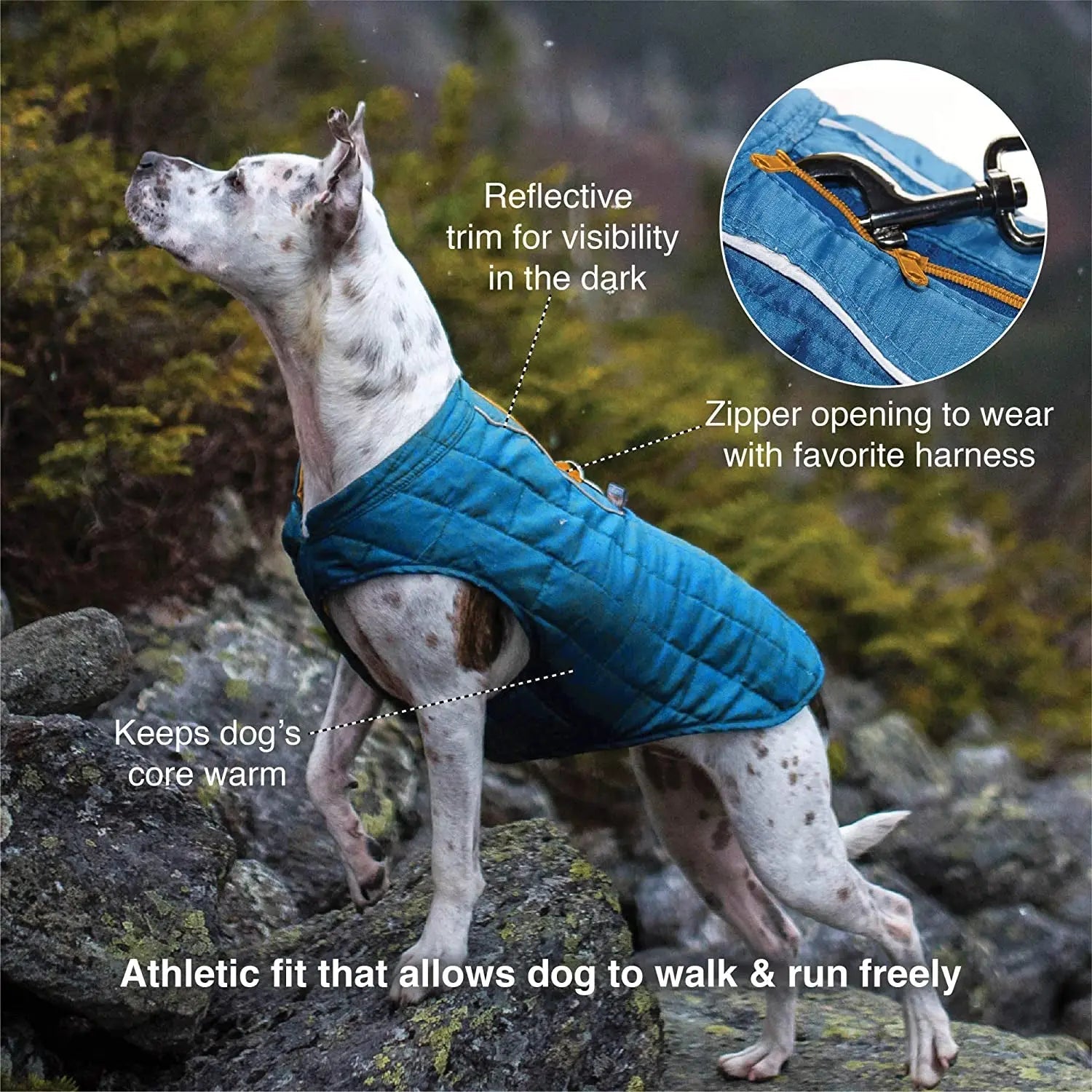 Loft Jacket, Reversible Dog Coat, Dog Coat for Cold Weather, Water-Resistant Dog Jacket with Reflective Trim, Black/Yellow, Medium