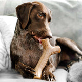 Aggressive Chewers Real Maplewood Made