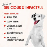 Freeze-Dried Raw Chicken Breast Dog Treats - Single Ingredient, No Additives - Premium Training Treats - Perfect for Picky Eaters - 2.75Oz Bag