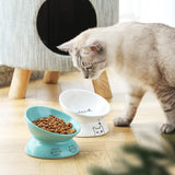 Ceramic Raised Cat Bowls