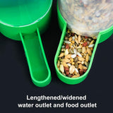 Bird Feeder