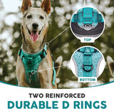 Embark Sports Dog Harness, Dog Harness for Large Dogs No Pull with Light and Breathable Design - Easy on and Off, No Pull Training, Size Adjustable, Non Choke with Handle for Control. Teal Vest