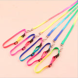Round rainbow color cat leash dog chain
