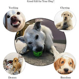 2-Pack: Dog Teething Toy Balls
