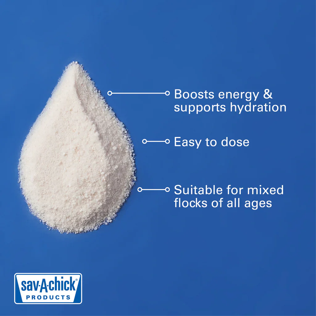 Sav-A-Chick 18PK Bundle Electrolyte Vitamin & Probiotic Poultry Health Packets