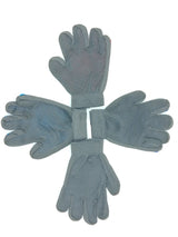 Grooming Glove