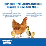 Sav-A-Chick Poultry Vitamins & Electrolytes 20 Pack Bird Supplement