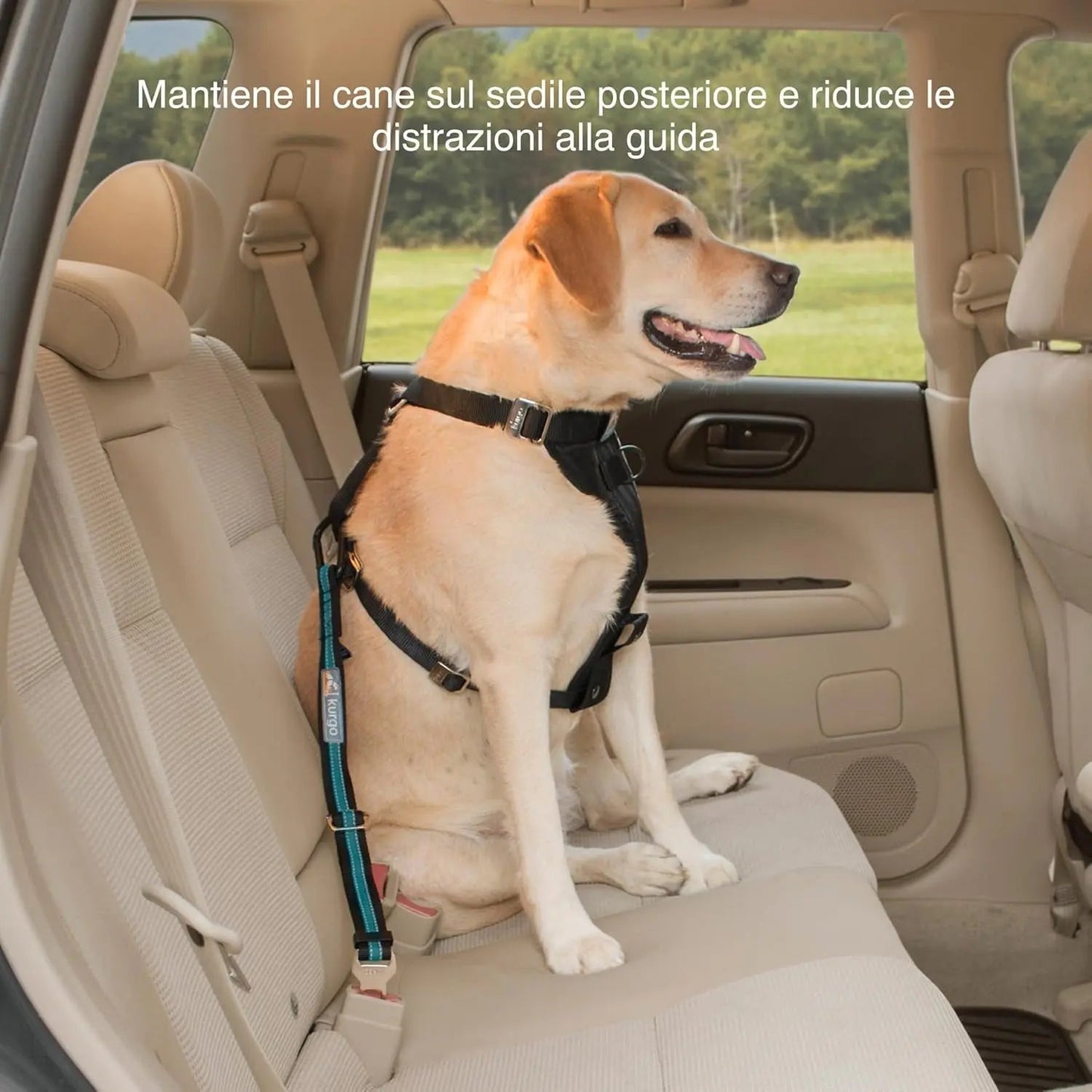 Direct to Seatbelt Tether - Easy-Use Dog Car Harness Clip - Adjustable Ride Strap - Universal Fit for Most Vehicles - All Steel Hardware - Backseat Restraint - Coastal Blue