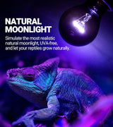 2Pack- 75W or 100W Reptile Night Heat Lamp Purple E26 E27 Bulbs