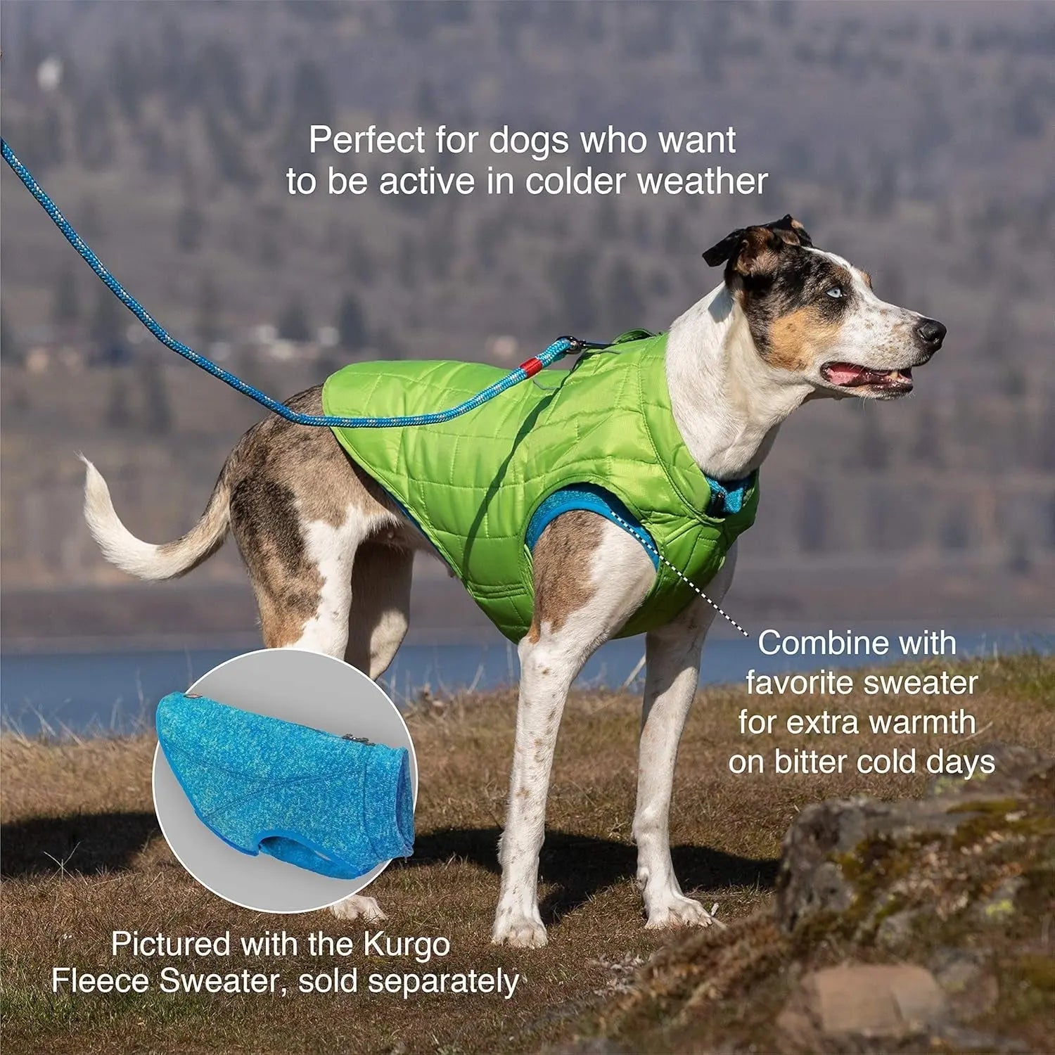 Dog Jacket, Reversible Winter Jacket for Dogs, Pet Coat for Hiking, Water Resistant, Reflective, Lightweight, Wear with Harness, Athletic, Loft Jacket (Liberty Floral, S), Floral/Magenta