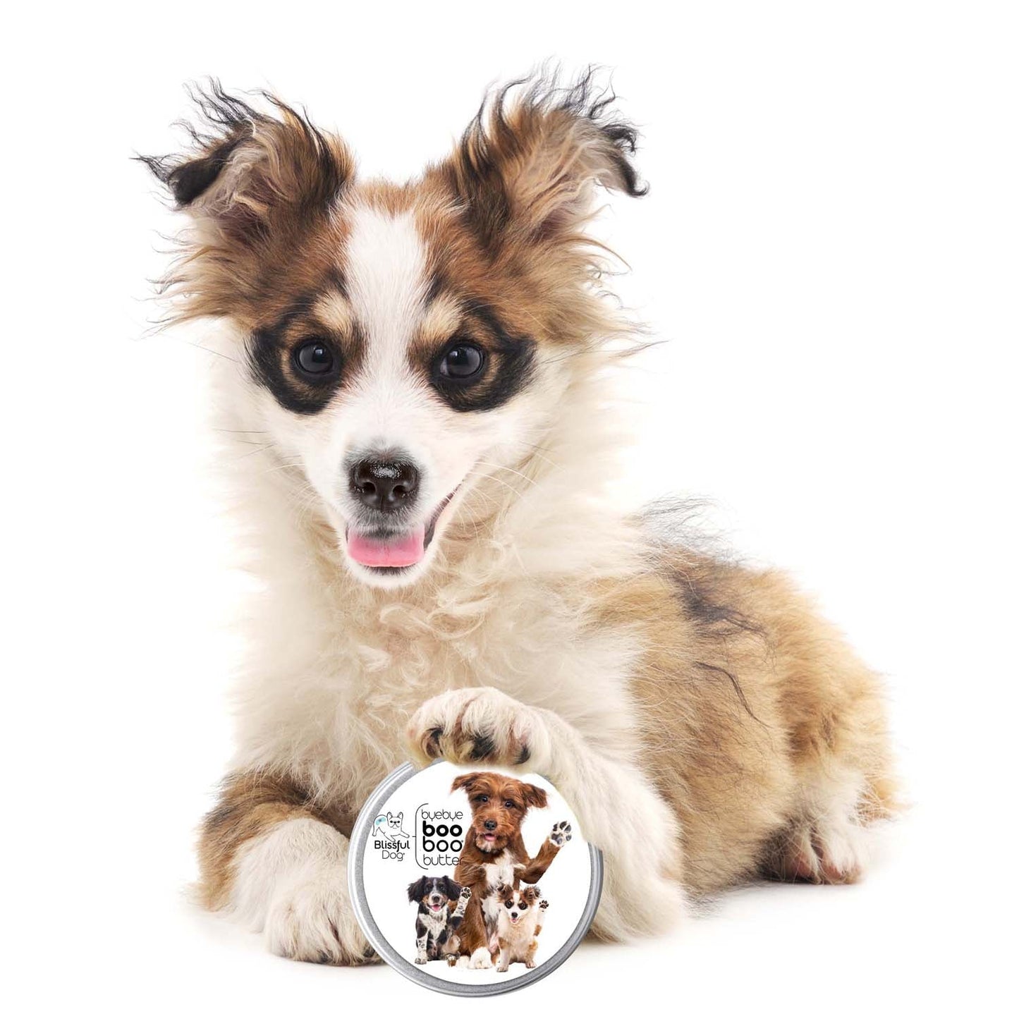 3 Cute Puppies Boo Boo Butter