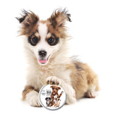 3 Cute Puppies Boo Boo Butter