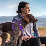 Journey Air Dog Harness, Reflective, Includes Control Handle, No Pull Front Clip - Purple, S