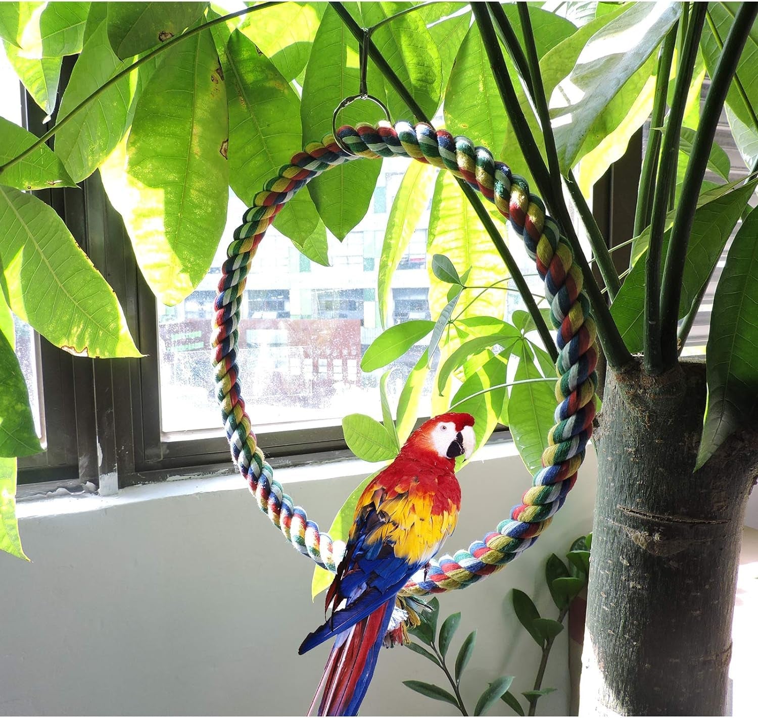 Bird Swing