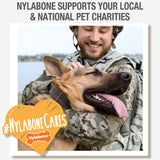 Nylabone Healthy Edibles All-Natural Long Lasting Roast Beef Dog Chew Treats (2pk) (1.5oz)
