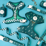 Thunderstruck Leash