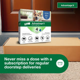 Flea Prevention for XL Dogs 55 Lbs+, 4-Monthly Treatments