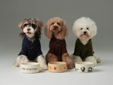 GLACIER PET SWEATER - BURGUNDY