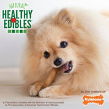 Nylabone Healthy Edibles Bacon Bone Chew Treats (3pk) (6.2oz)