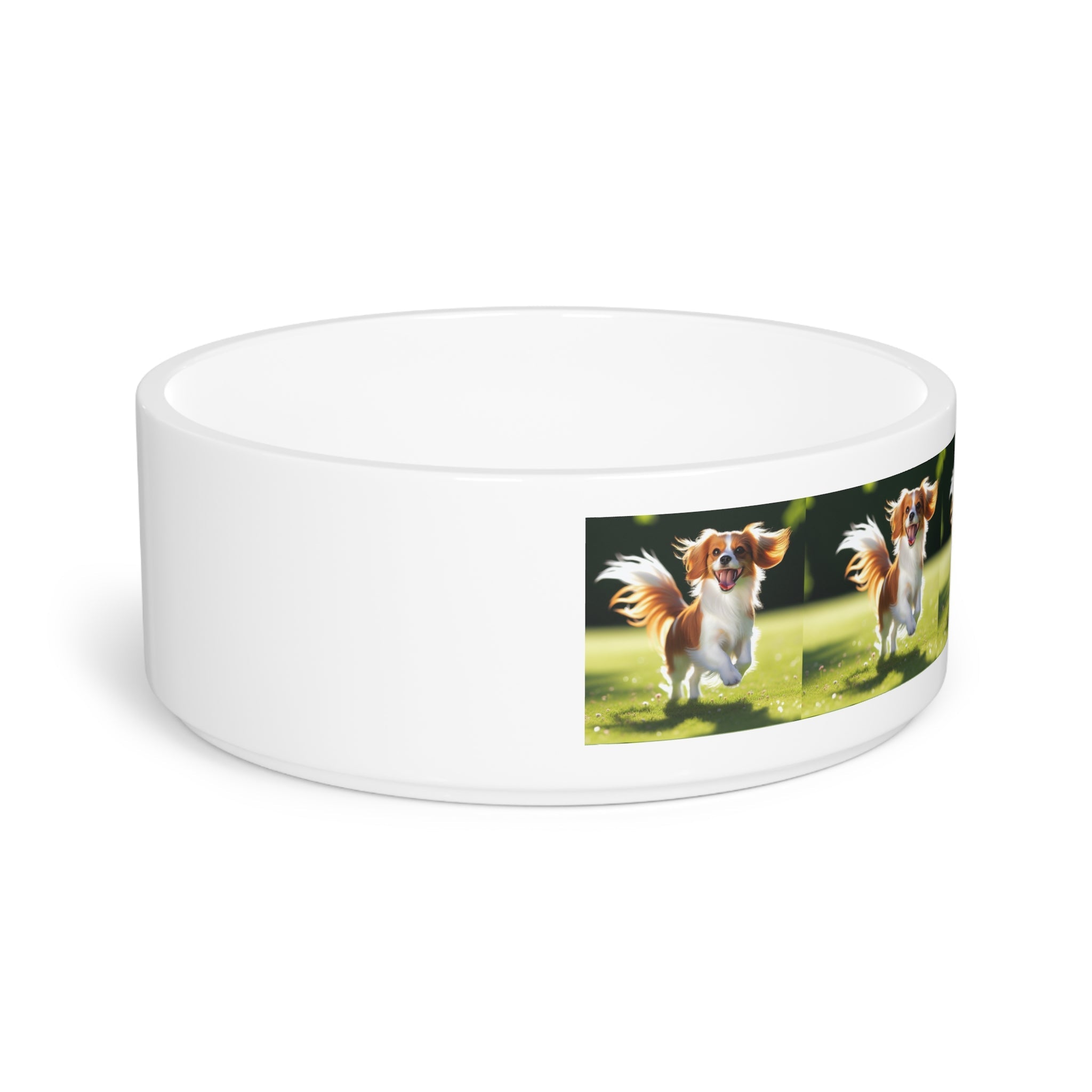 Ceramic Pet Bowl – 16 oz Dog Feeding Bowl