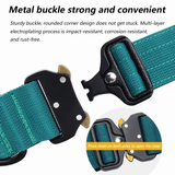 Sleek-Lux Padded Dog Collar
