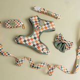 Sage & Cider Leash