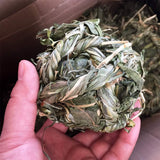 Get Your Furry Friends Hopping with Our Timothy Grass Chew Ball – Perfect Playtime for Bunnies, Hamsters, and Guinea Pigs! 🐰🐹🥳