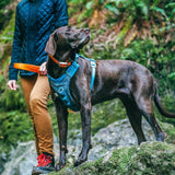 Nomad Carrier Backpack - Airline Approved Dog Bag for Travel - Stylish Pet Backpack with Waterproof Bottom - Lightweight for Hiking - Small Breed Dog Carrier with Tablet Sleeve - Blue
