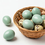 Celadon Coturnix Hatching Eggs