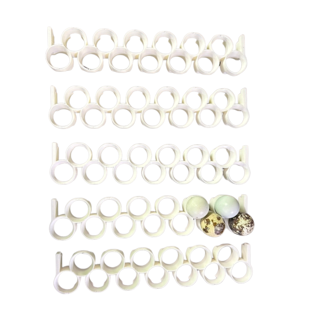 Jumbo Quail Egg Rails for Cimuka®/Hatching Time® Incubators (CT-Series)