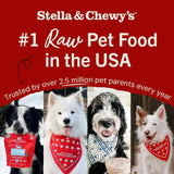Freeze-Dried Raw Dinner Patties - Beef Recipe - High Protein Grain-Free Puppy & Dog Food - Perfect for Picky Eaters - 14 Oz