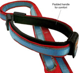 6 in 1 Hands Free Dog Leash | Reflective Running Belt Leash for Dogs | Crossbody & Waist Belt Leash | Carabiner Clip | Padded Handle for Training, Hiking or Jogging | Quantum Leash | 6 Colors