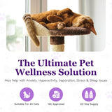 Purrfect Cat Calming Diffuser Kit with 2 Refills