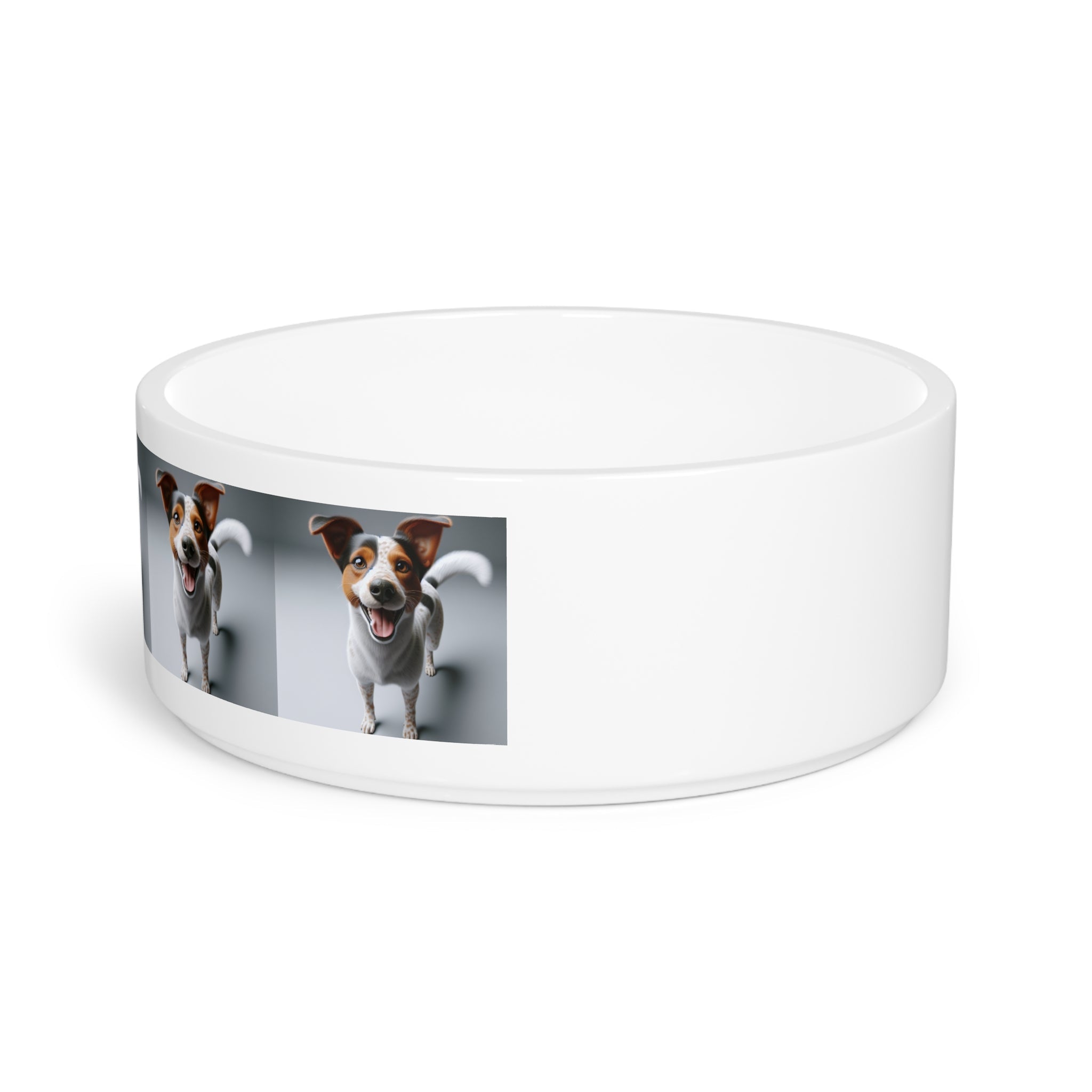Ceramic Pet Bowl – 16 oz Dog Feeding Bowl