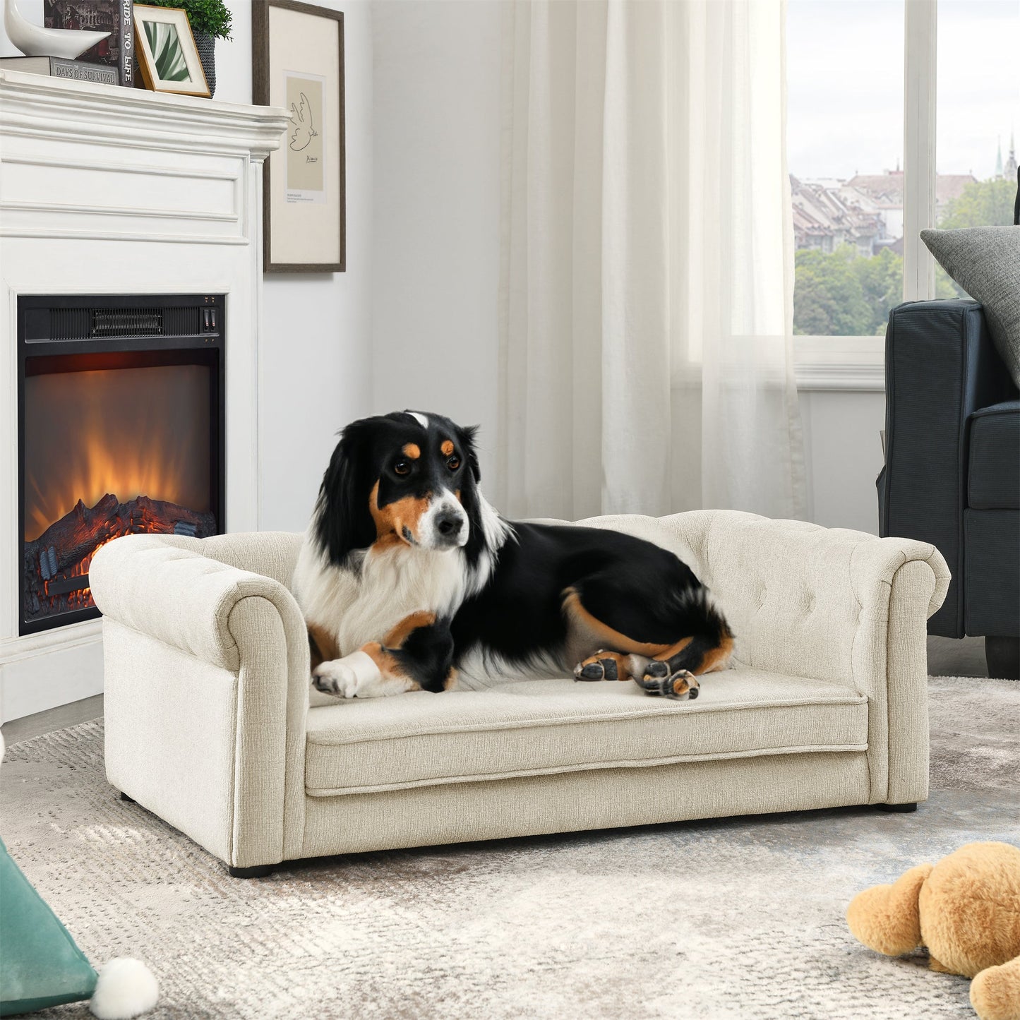 Modern Elegant Rectangle Elevated Pet Bed