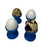 Mini Egg Cup Set, Quail Egg Holders, Set of 4