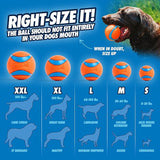 ChuckIt Dog Sport Launcher 14S