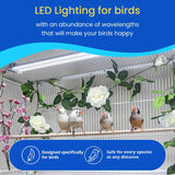 Illuminate Your Bird's World with the Happybird Full Spectrum LED Light - Safe, Easy-to-Install, and Perfect for Soft Bill Birds