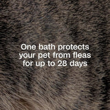 Adams Plus Flea & Tick Shampoo with Precor IGR – Kills Fleas, Ticks & Lice, 12 oz