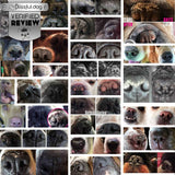1 Dog Nose Butter For All Dogs