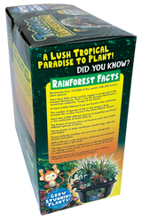 Tropical Rainforest Jungle Biosphere Terrarium