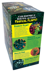 Tropical Rainforest Jungle Biosphere Terrarium