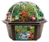 Tropical Rainforest Jungle Biosphere Terrarium