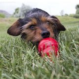 Kong Easy Treat (8oz)