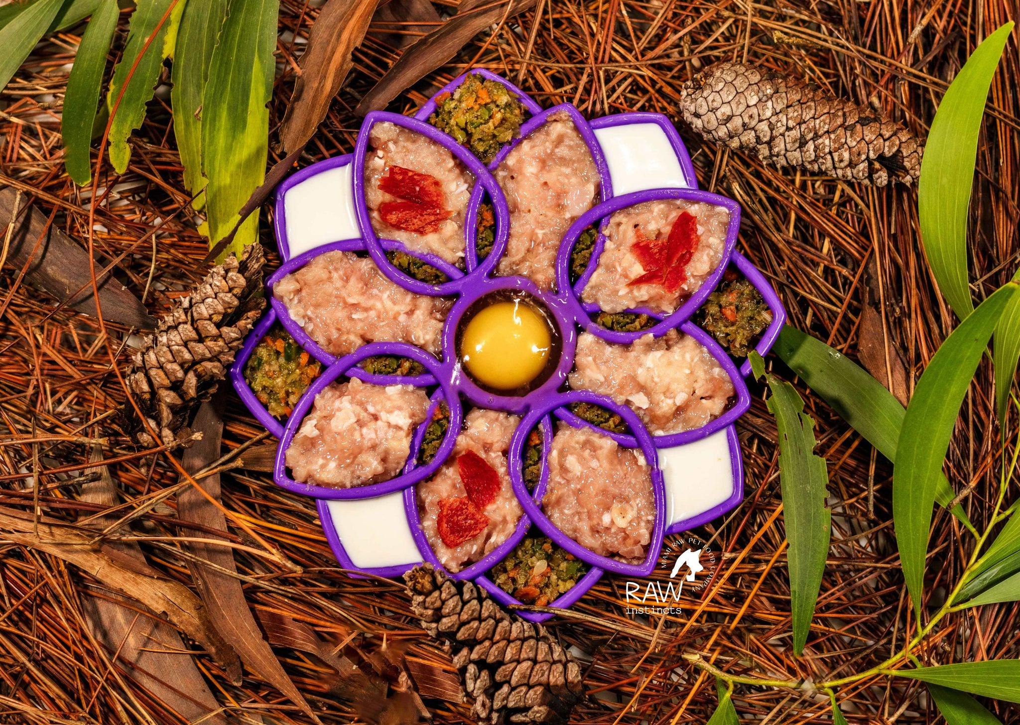 Raw Chicken & Turkey Meal Blend for Cats & Dogs — Prey Model Raw | Raw Instincts Florida
