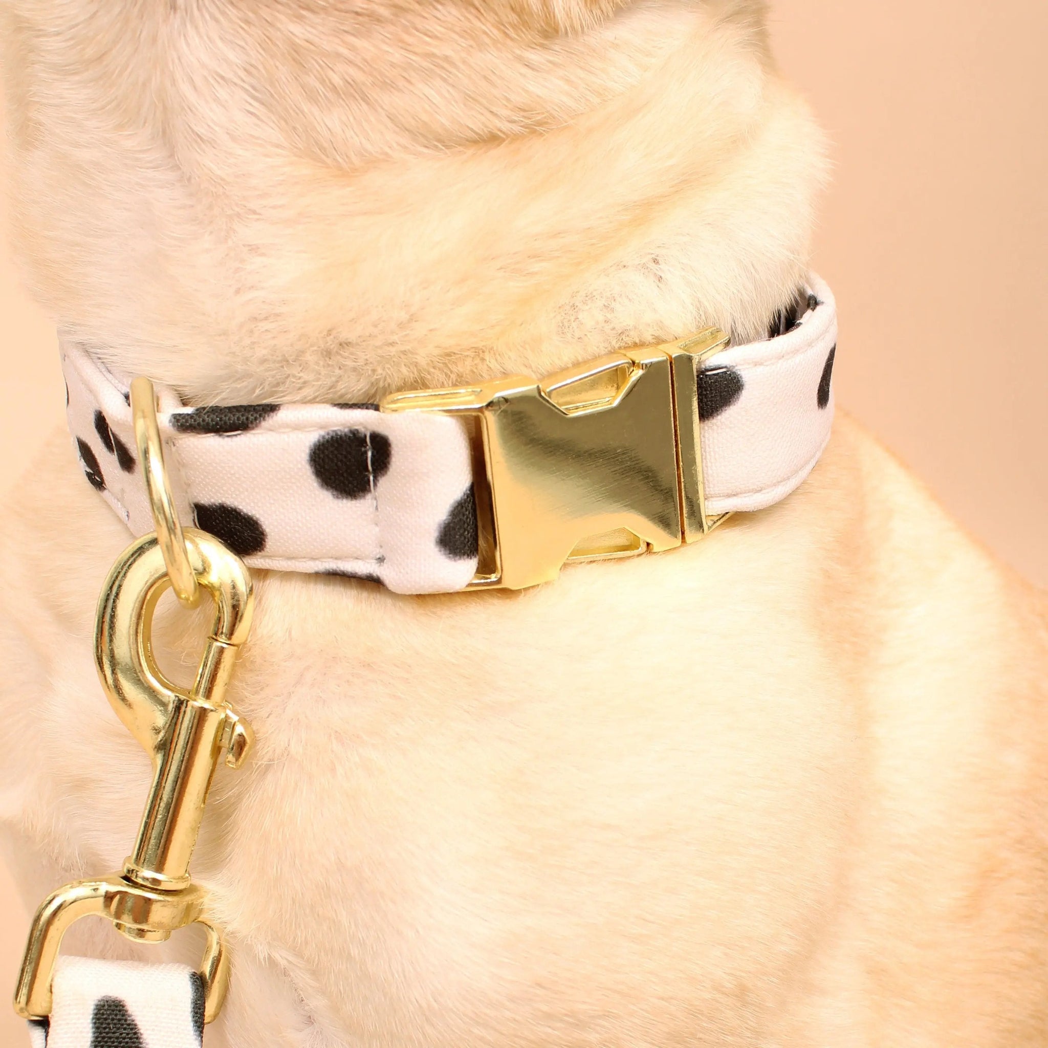 San Francisco Recycled Dog Collar