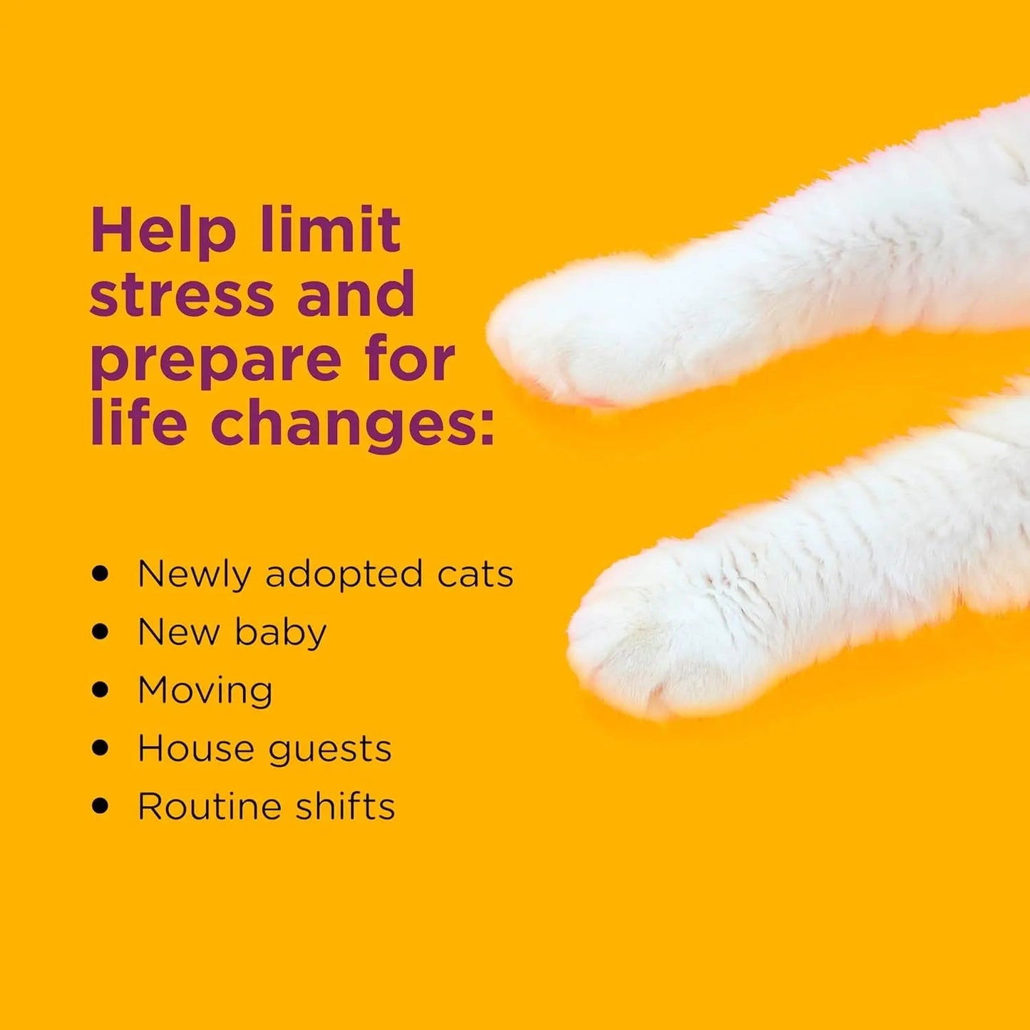 Cat Calming Diffuser Value Kit – 3 Plug-Ins & 6 Refills for Anxiety Relief