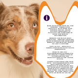 Piccardmeds4pets Hemp + MSM Joint Support Chews for Dogs and Cats 60CT