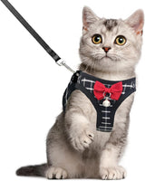 Cat Harness Leash Set Breathable Adjustable Mesh Vest