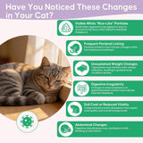 Cat Tapeworm Treatment Liquid 60ml Fast Absorption Kitten Safe Dropper